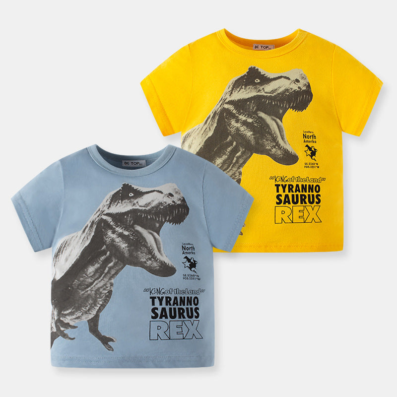 Baby Kid Boys Letters Dinosaur Print Tops Wholesale 24040912